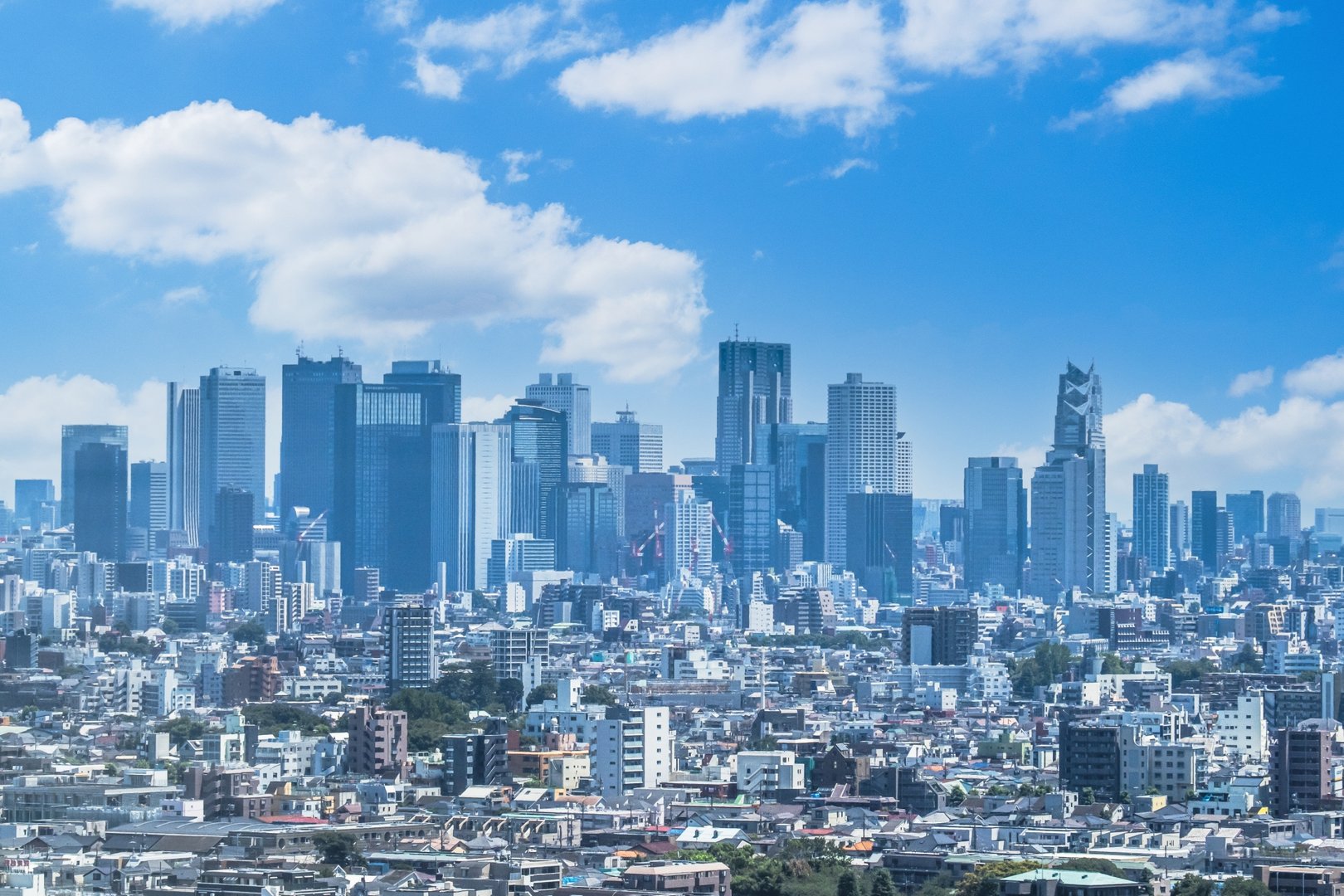 新宿副都心・誠和企画 対応エリア